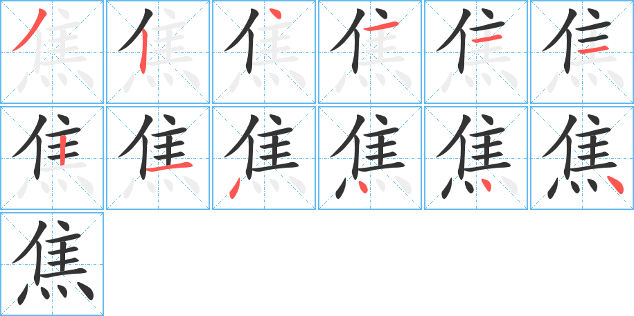 焦字的笔顺分步演示