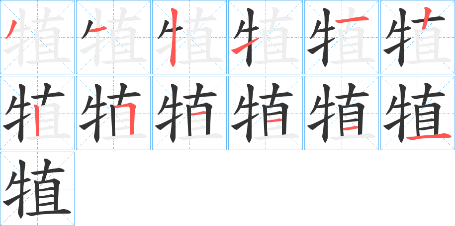 犆字的笔顺分步演示