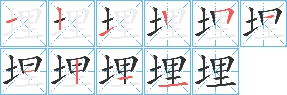 埋字的笔顺分步演示