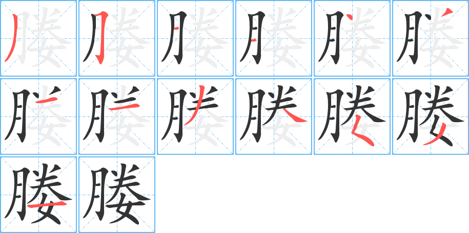 媵字的笔顺分步演示