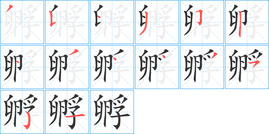 孵字的笔顺分步演示