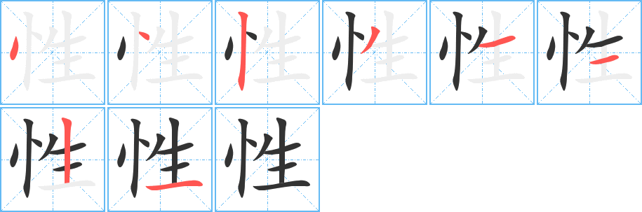 性字的笔顺分步演示