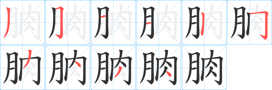 朒字的笔顺分步演示