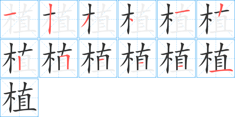 植字的笔顺分步演示