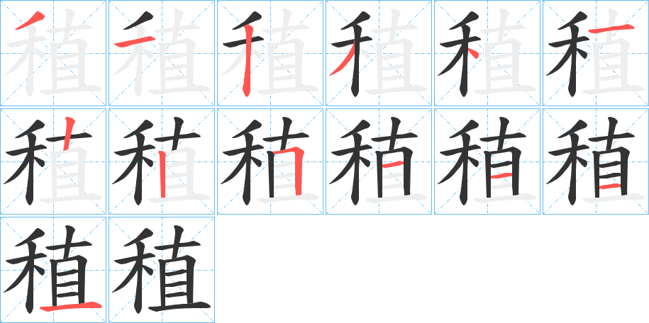 稙字的笔顺分步演示