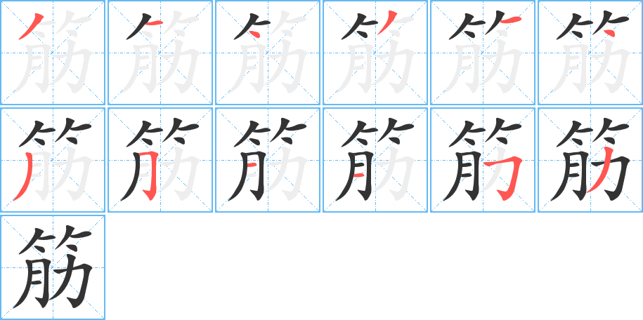 筋字的笔顺分步演示