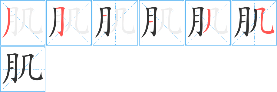 肌字的笔顺分步演示