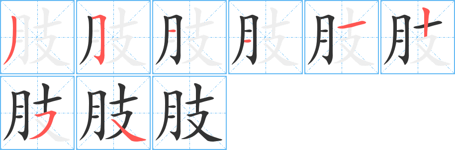 肢字的笔顺分步演示