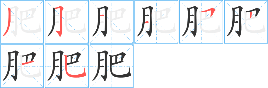 肥字的笔顺分步演示