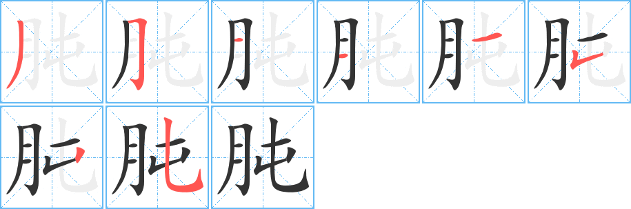 肫字的笔顺分步演示