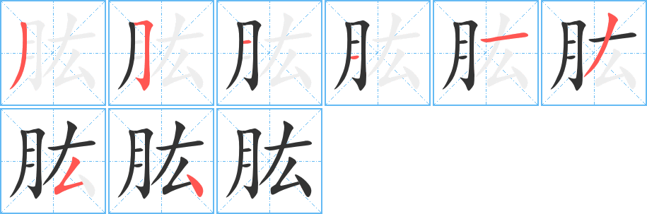 肱字的笔顺分步演示