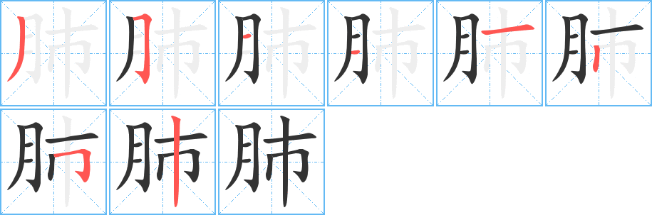 肺字的笔顺分步演示