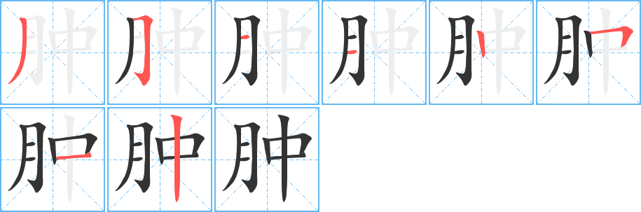 肿字的笔顺分步演示