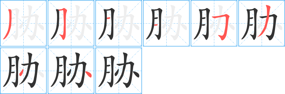 胁字的笔顺分步演示