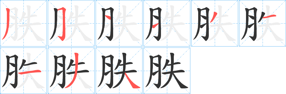 胅字的笔顺分步演示