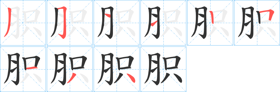 胑字的笔顺分步演示