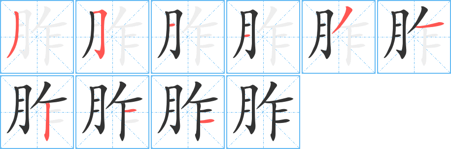 胙字的笔顺分步演示