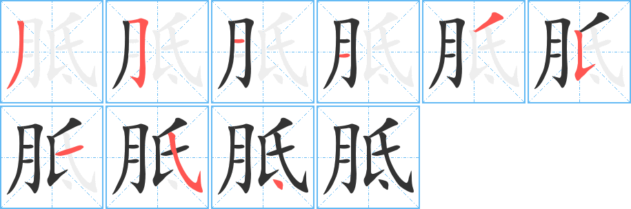 胝字的笔顺分步演示