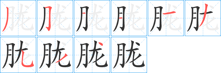 胧字的笔顺分步演示