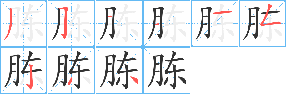 胨字的笔顺分步演示