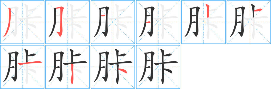 胩字的笔顺分步演示