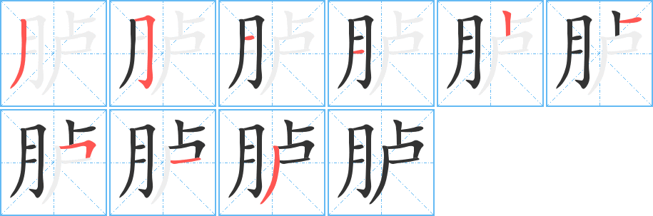 胪字的笔顺分步演示