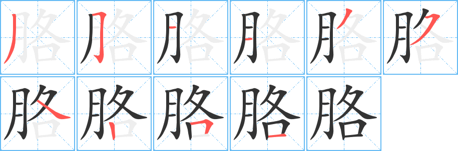 胳字的笔顺分步演示