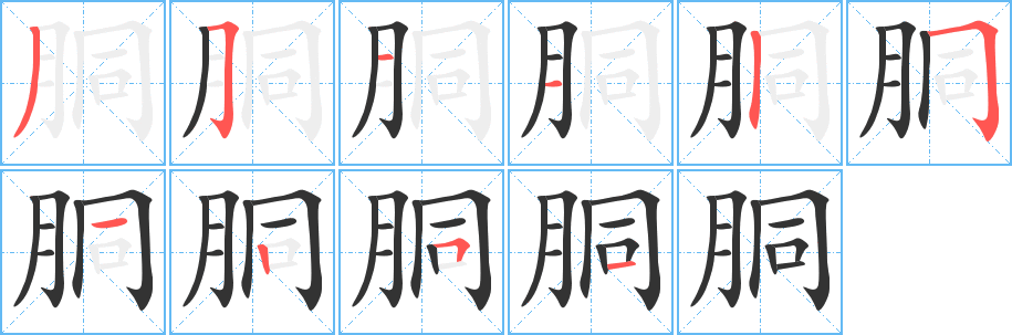 胴字的笔顺分步演示