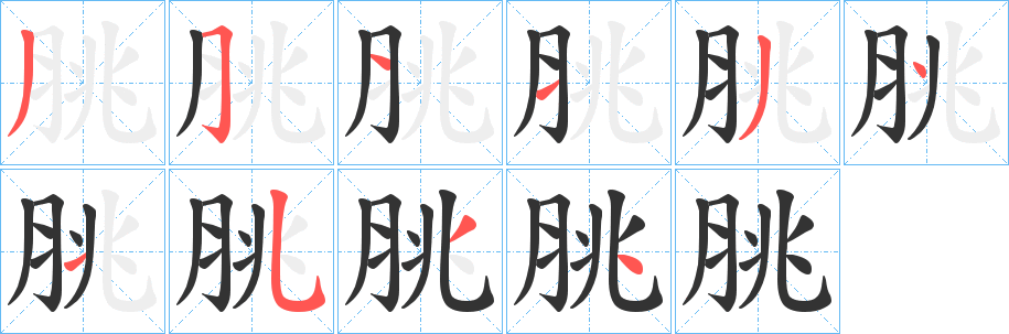 脁字的笔顺分步演示