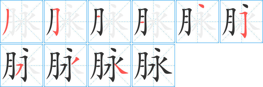 脉字的笔顺分步演示