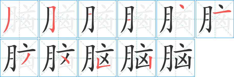 脑字的笔顺分步演示