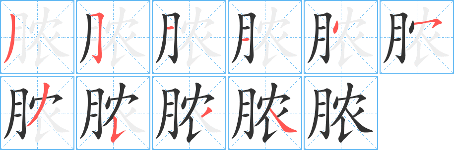 脓字的笔顺分步演示