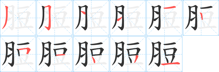 脰字的笔顺分步演示