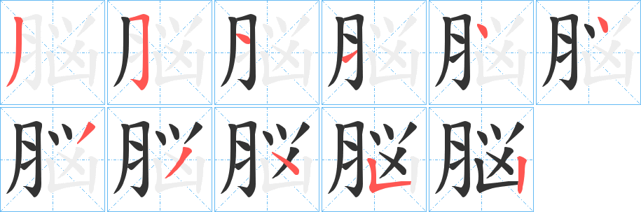 脳字的笔顺分步演示