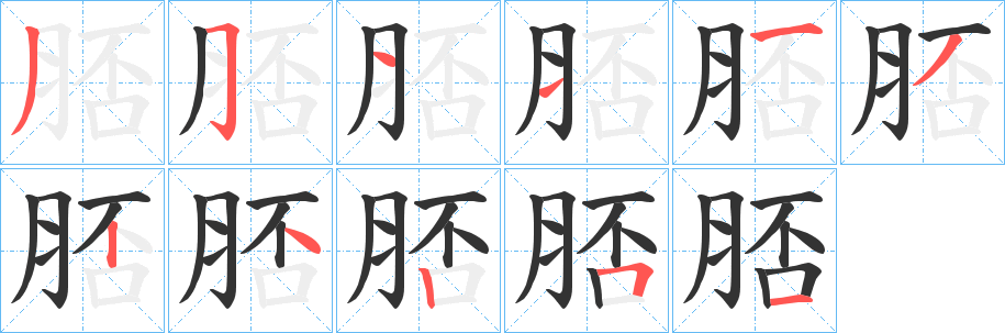 脴字的笔顺分步演示