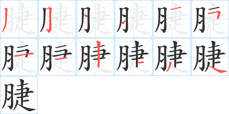 脻字的笔顺分步演示