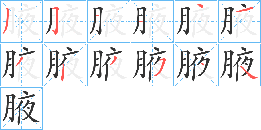 腋字的笔顺分步演示