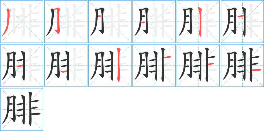 腓字的笔顺分步演示