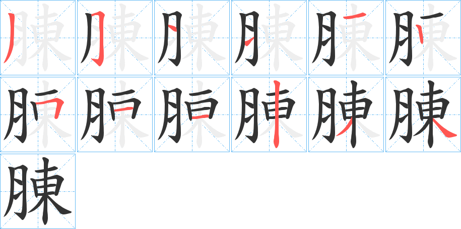 腖字的笔顺分步演示