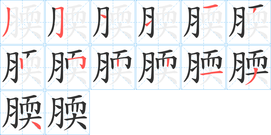 腝字的笔顺分步演示