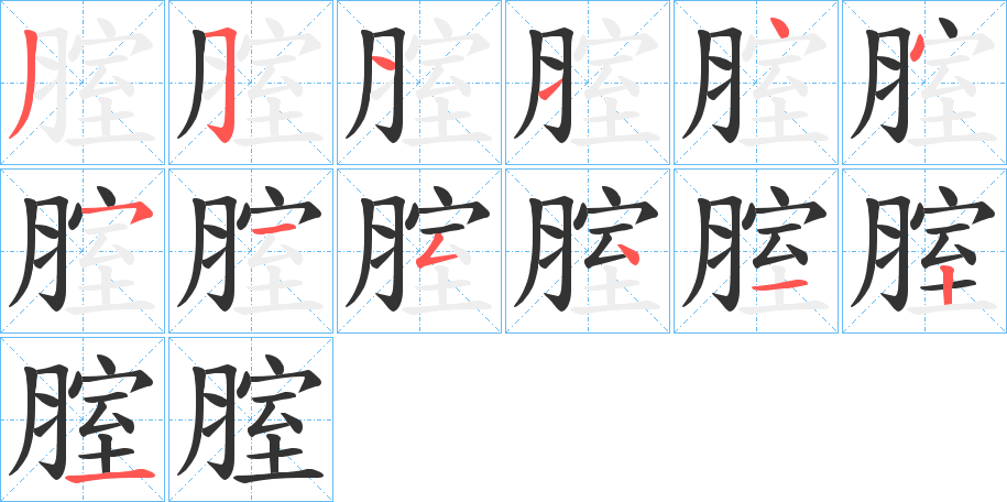 腟字的笔顺分步演示