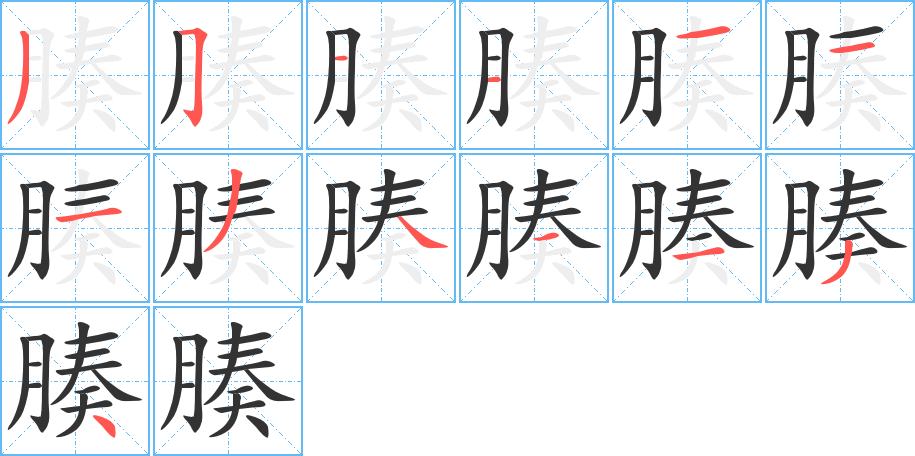 腠字的笔顺分步演示