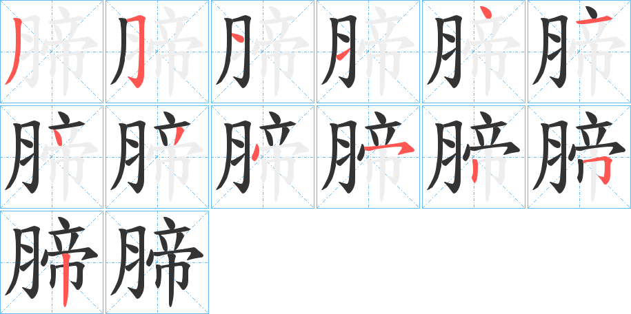 腣字的笔顺分步演示