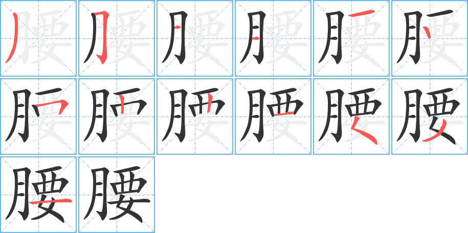 腰字的笔顺分步演示