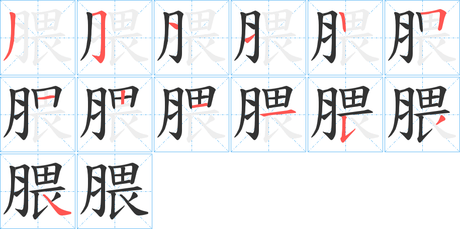 腲字的笔顺分步演示