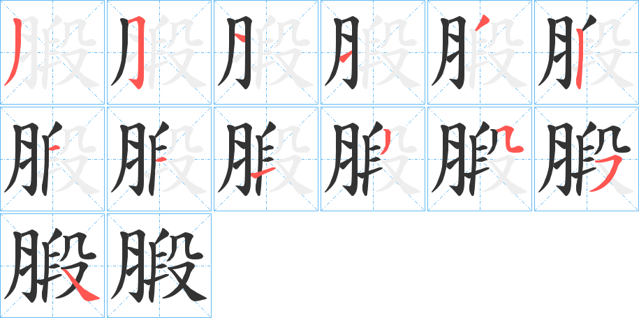 腶字的笔顺分步演示