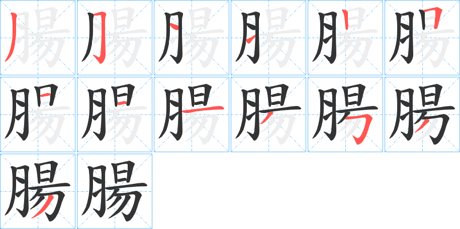 腸字的笔顺分步演示