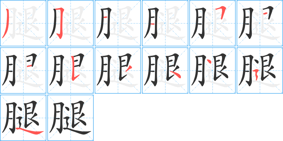 腿字的笔顺分步演示