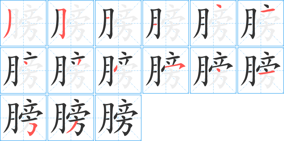 膀字的笔顺分步演示