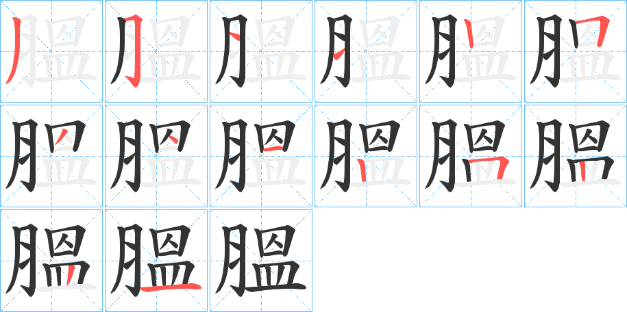 膃字的笔顺分步演示